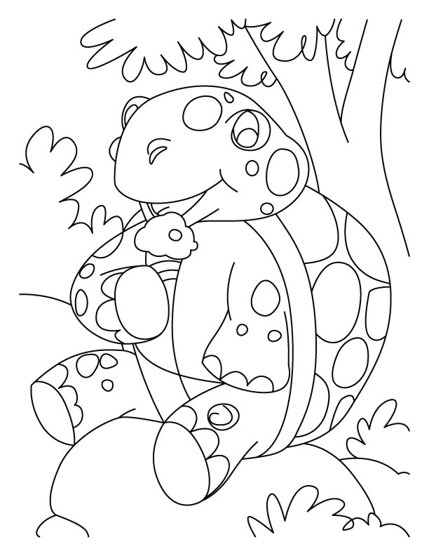 157 Endearing Tortoise Coloring Pages Printable 7