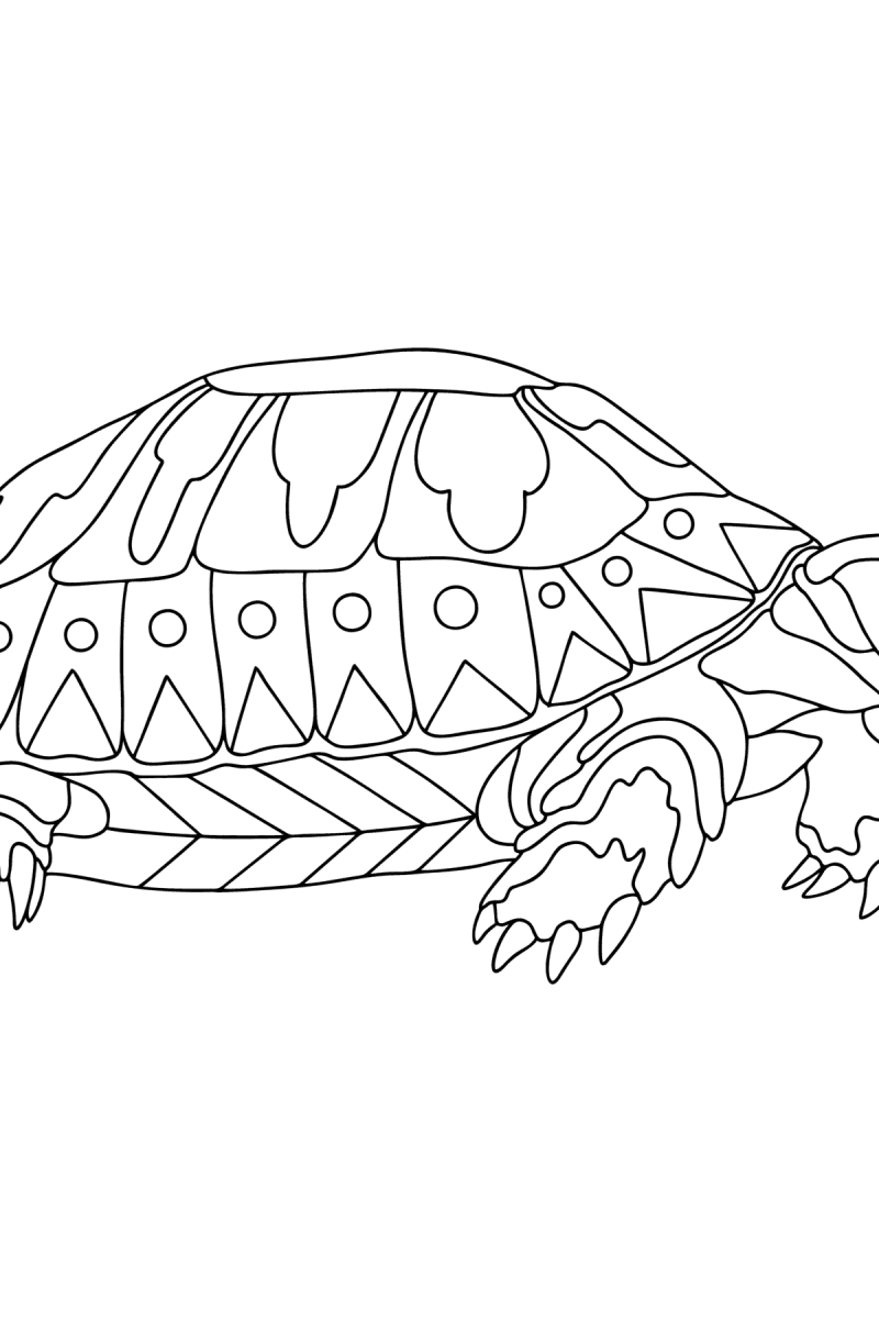 157 Endearing Tortoise Coloring Pages Printable 8