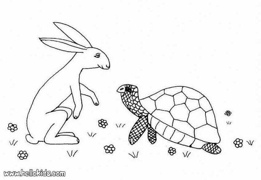 157 Endearing Tortoise Coloring Pages Printable 83