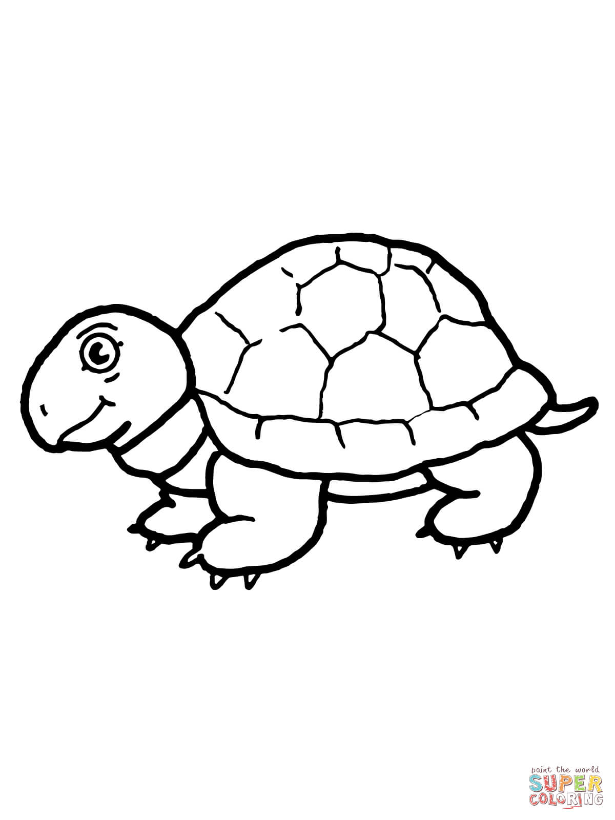 157 Endearing Tortoise Coloring Pages Printable 85