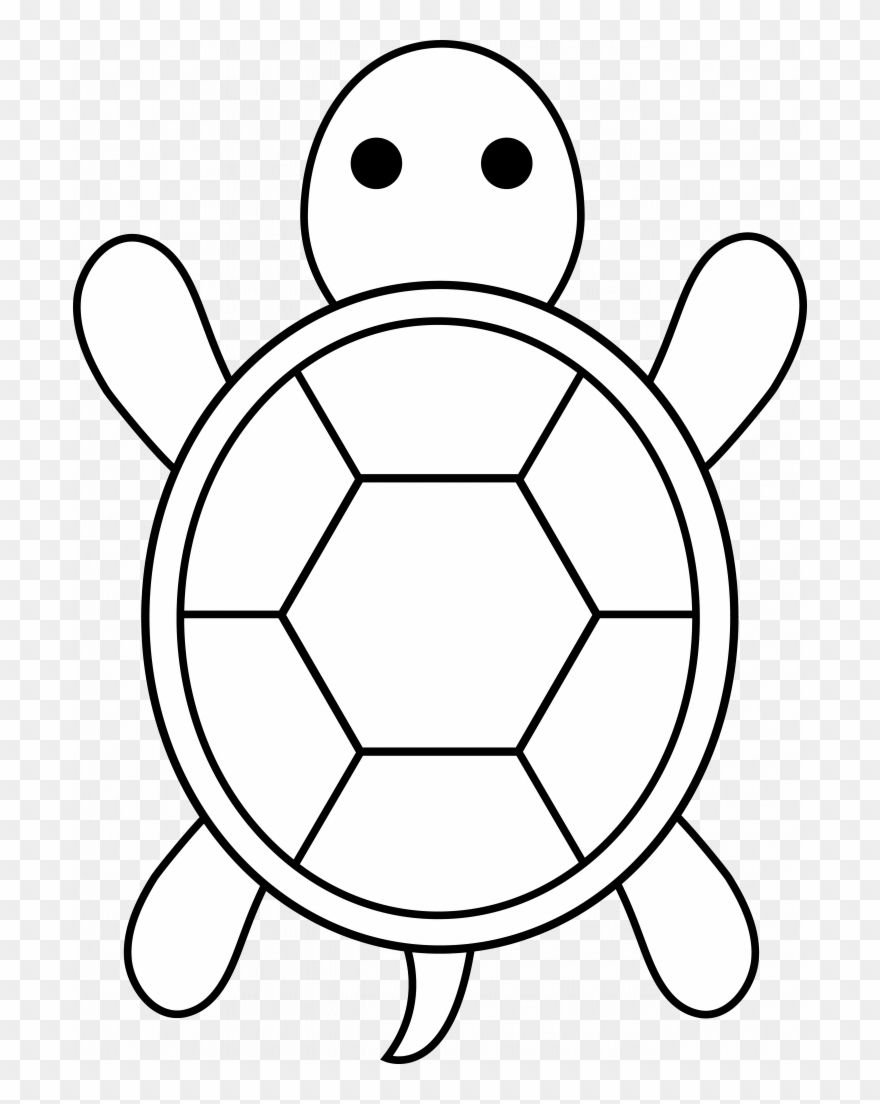 157 Endearing Tortoise Coloring Pages Printable 86