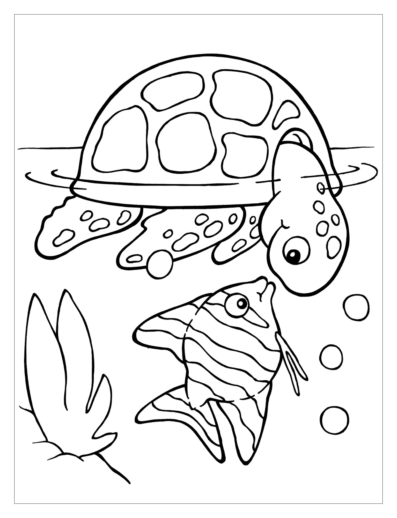 157 Endearing Tortoise Coloring Pages Printable 93