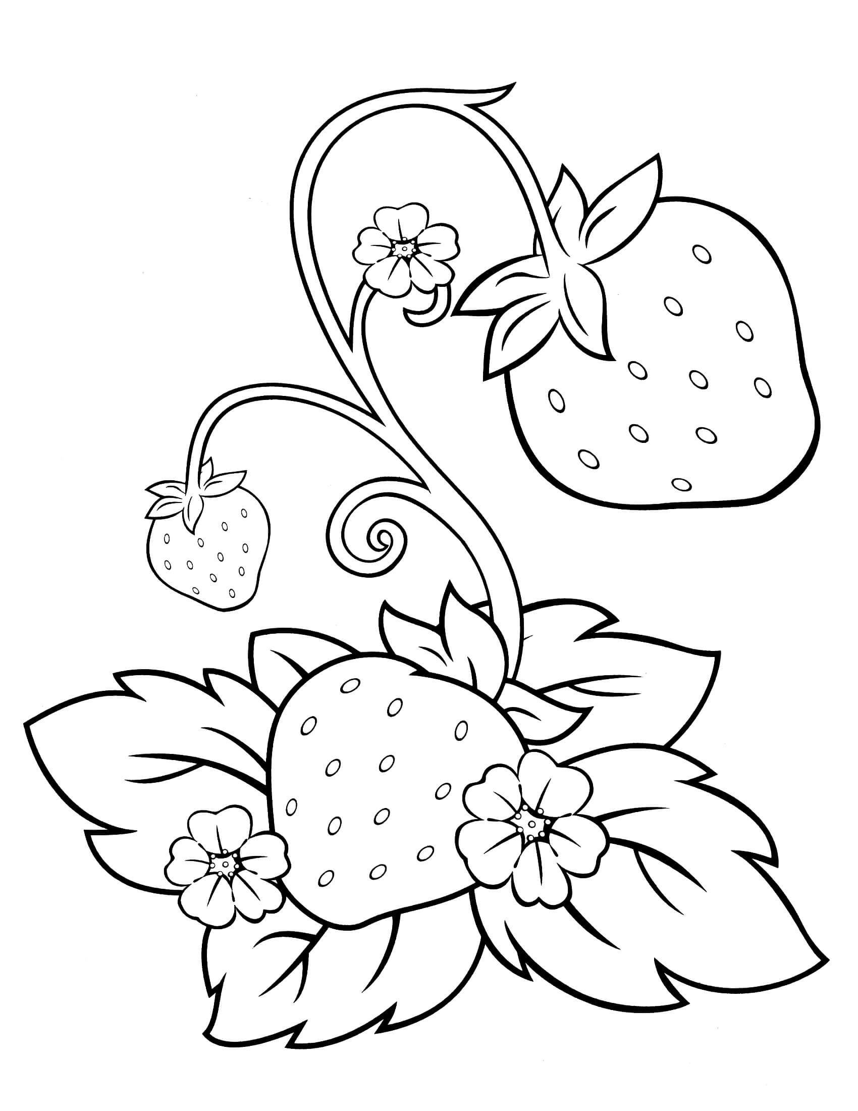 26 Yummy Strawberry Shortcake Coloring Pages Printable 12