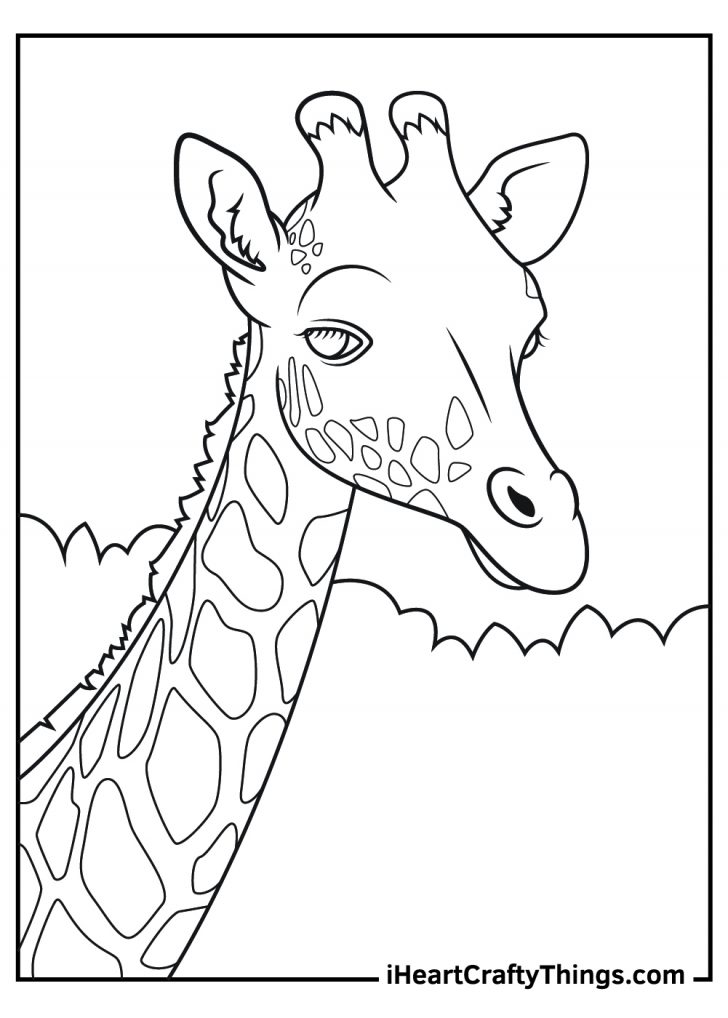 29 Wonderful Animal Coloring Pages Printable 13