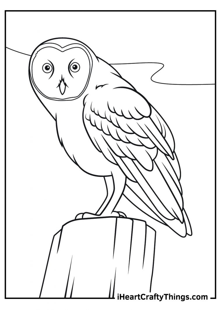 29 Wonderful Animal Coloring Pages Printable 20