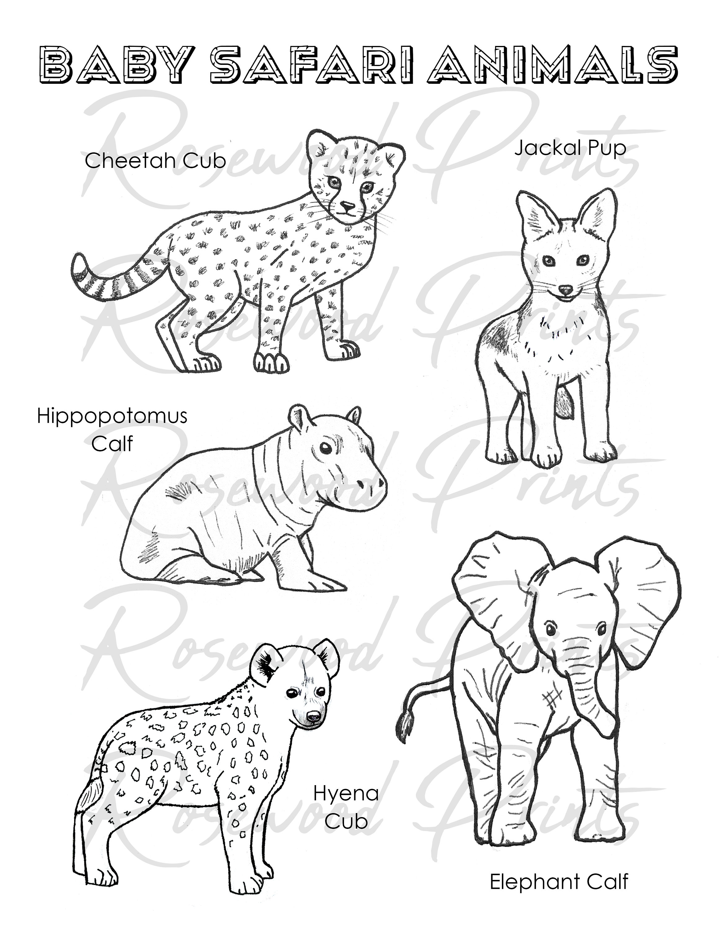 29 Wonderful Animal Coloring Pages Printable 31