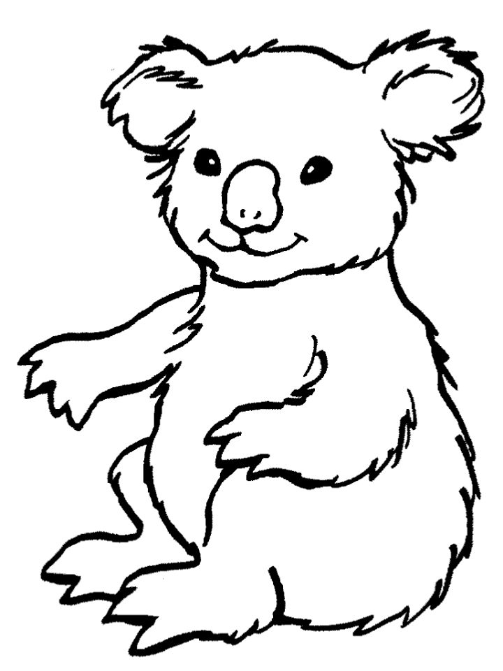 98 Delightful Koala Coloring Pages Printable 14