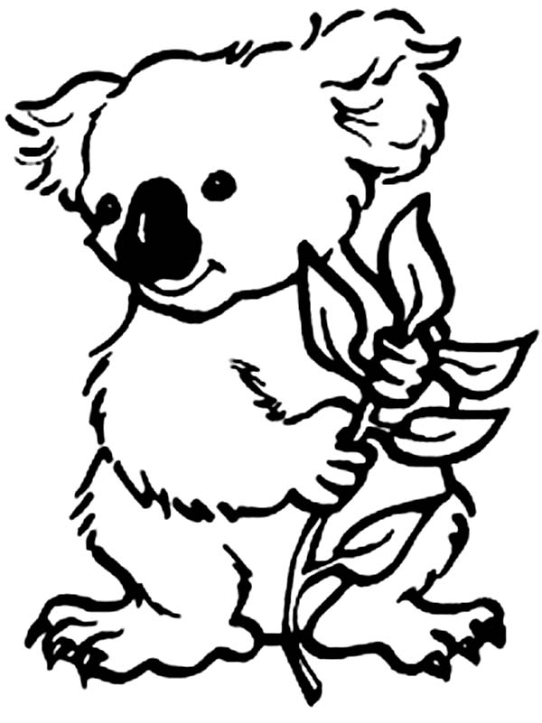 98 Delightful Koala Coloring Pages Printable 15