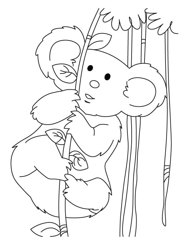 98 Delightful Koala Coloring Pages Printable 18