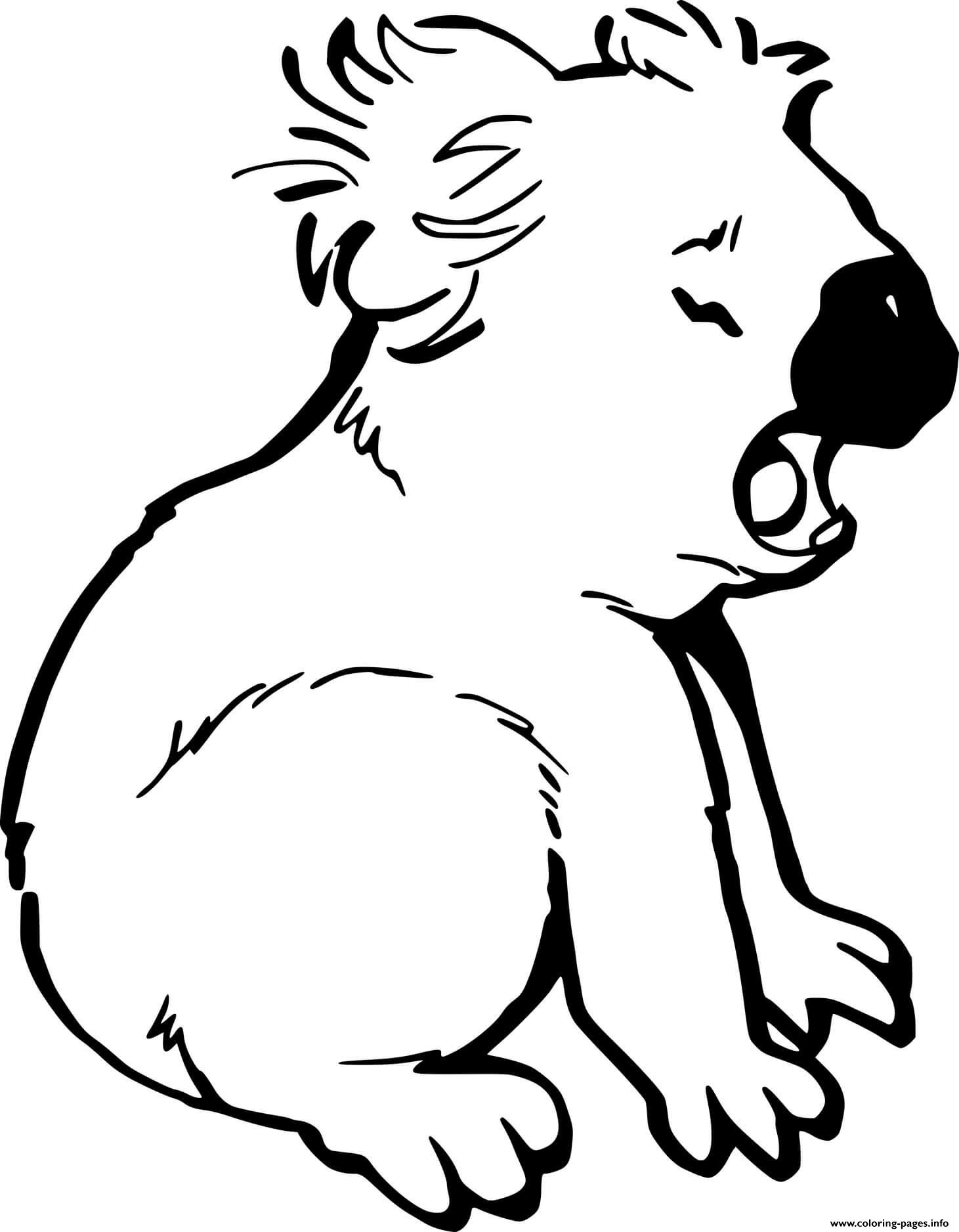 98 Delightful Koala Coloring Pages Printable 24