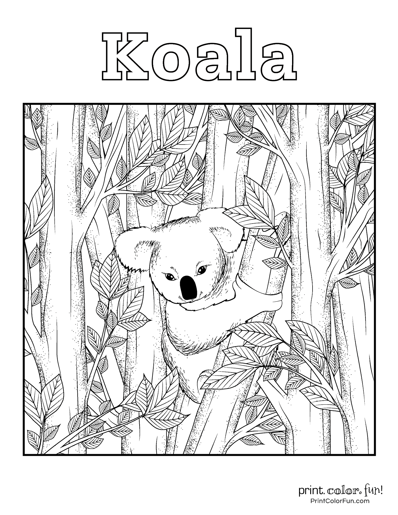 98 Delightful Koala Coloring Pages Printable 25