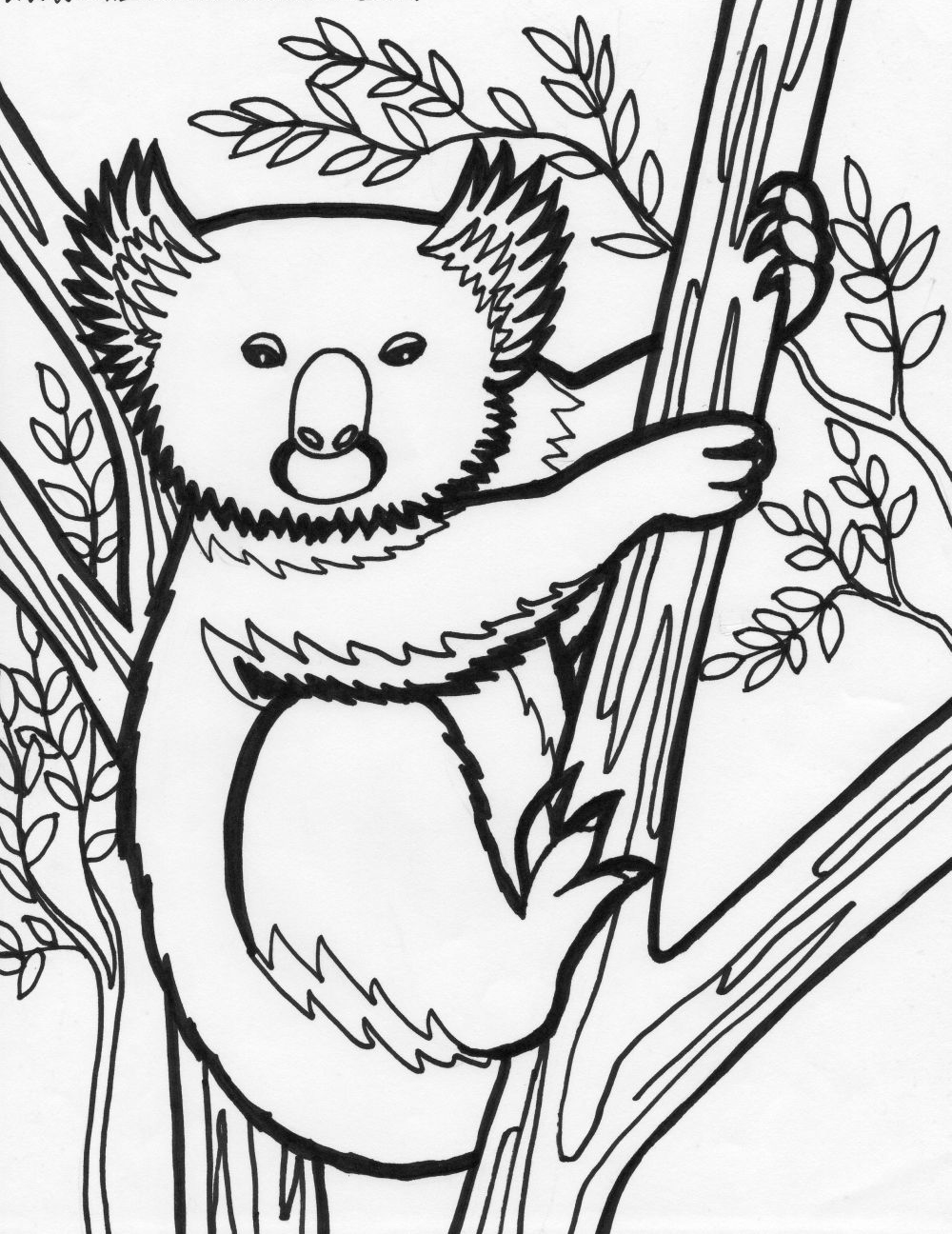 98 Delightful Koala Coloring Pages Printable 27