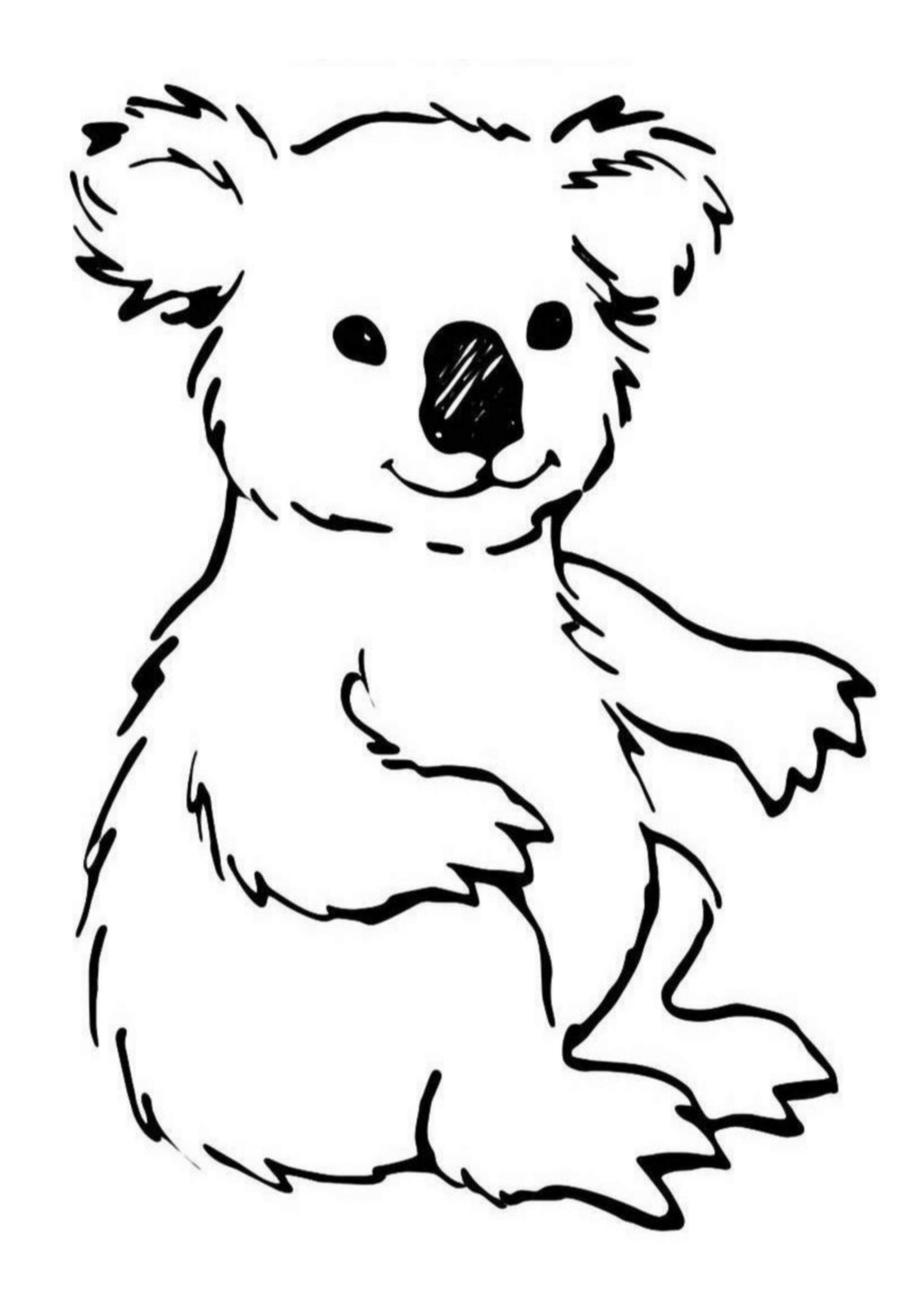 98 Delightful Koala Coloring Pages Printable 33