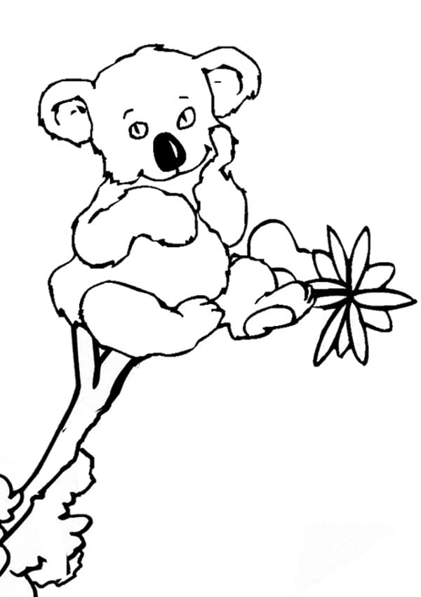 98 Delightful Koala Coloring Pages Printable 37