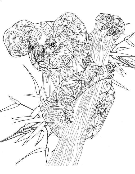 98 Delightful Koala Coloring Pages Printable 39