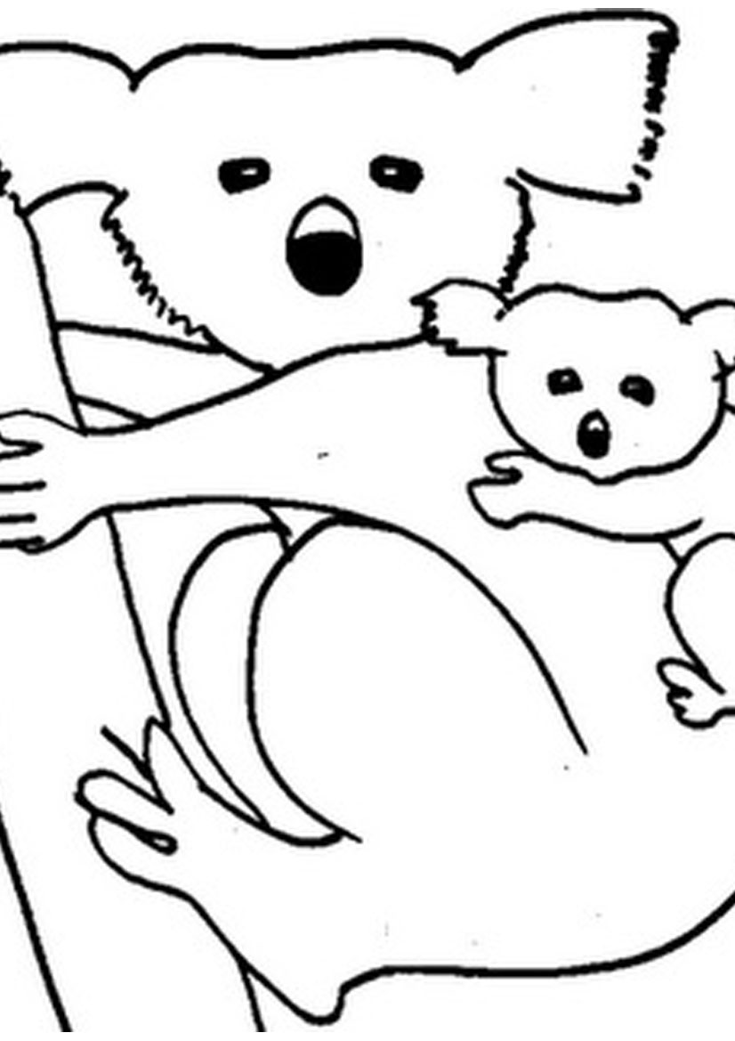 98 Delightful Koala Coloring Pages Printable 47