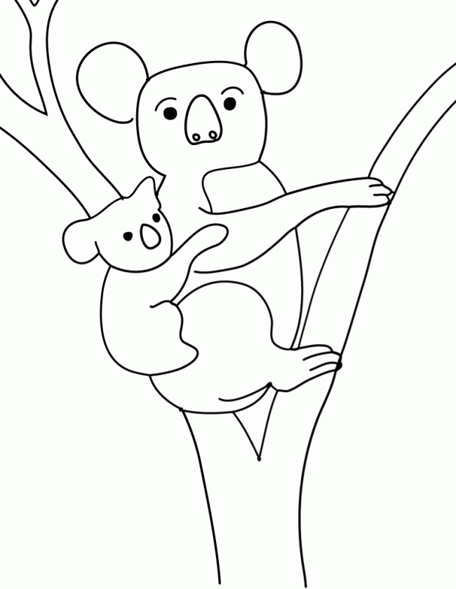 98 Delightful Koala Coloring Pages Printable 49