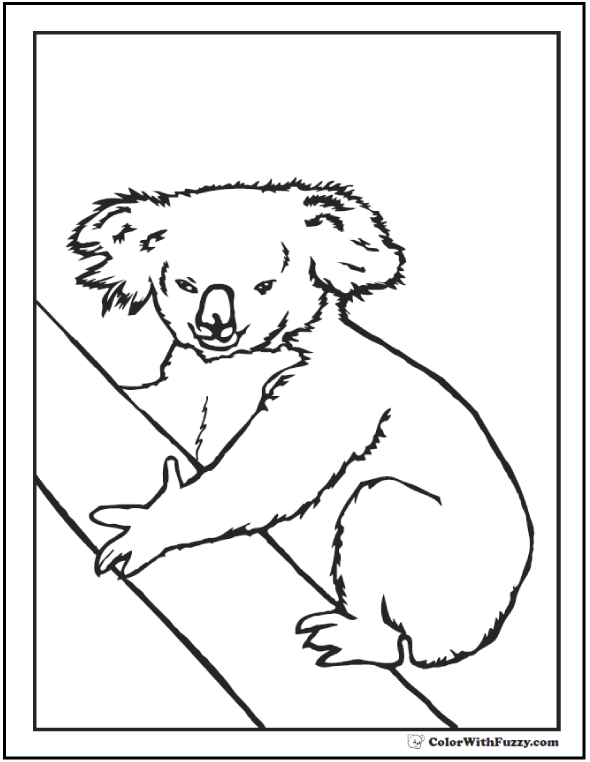 98 Delightful Koala Coloring Pages Printable 51