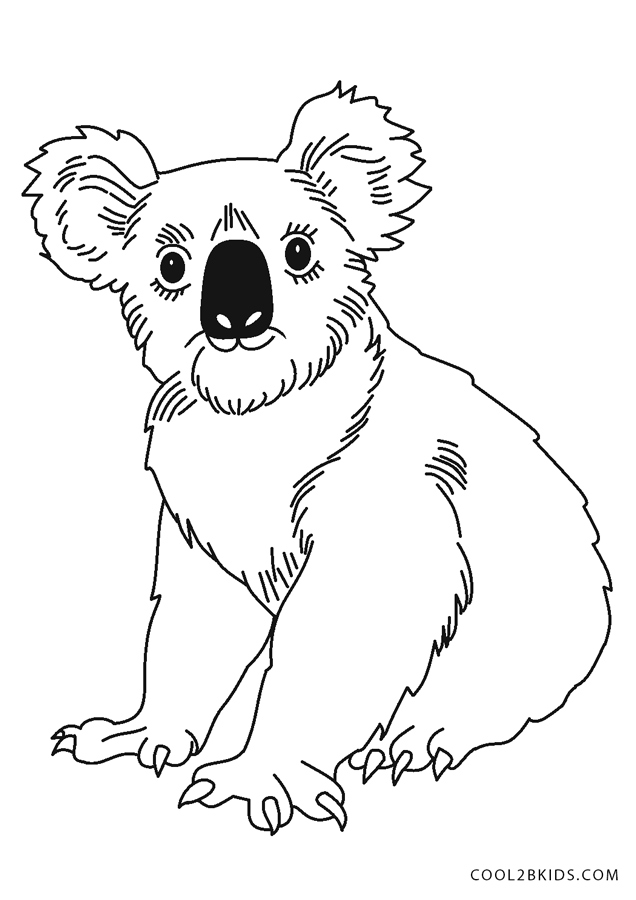 98 Delightful Koala Coloring Pages Printable 56