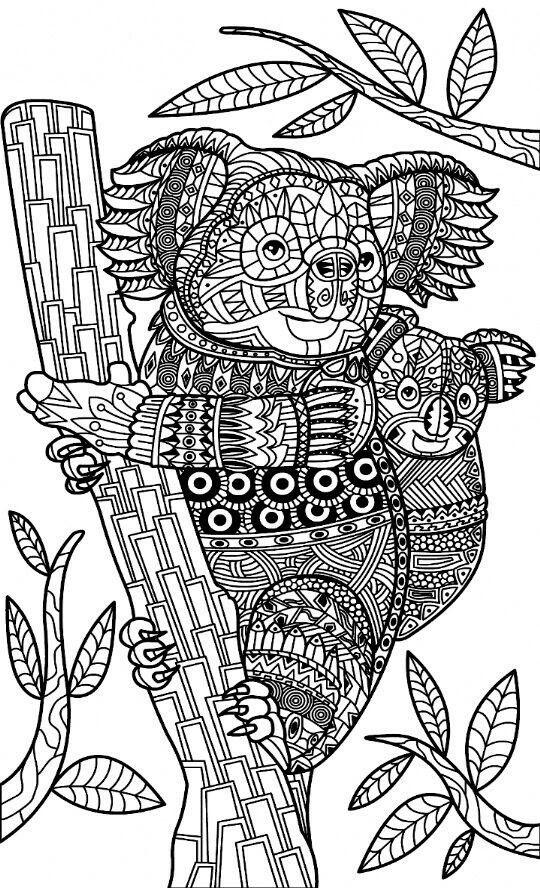 98 Delightful Koala Coloring Pages Printable 6