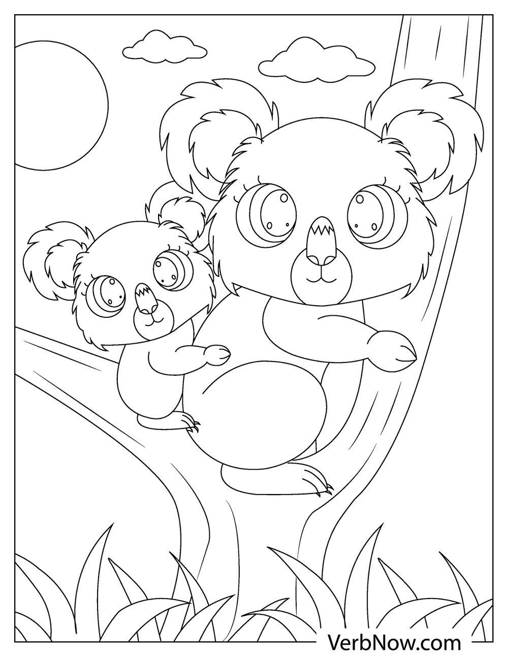 98 Delightful Koala Coloring Pages Printable 69