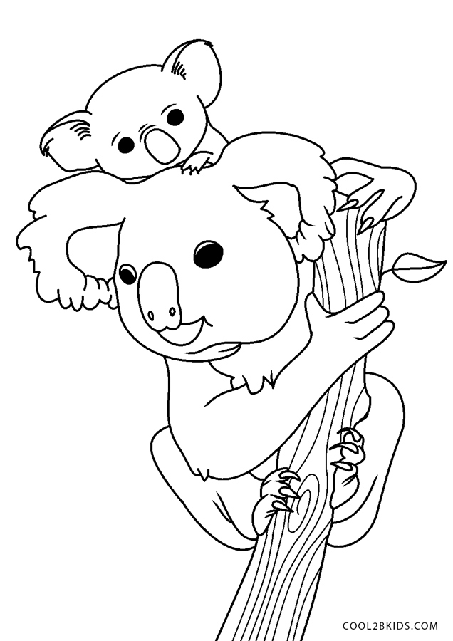 98 Delightful Koala Coloring Pages Printable 7