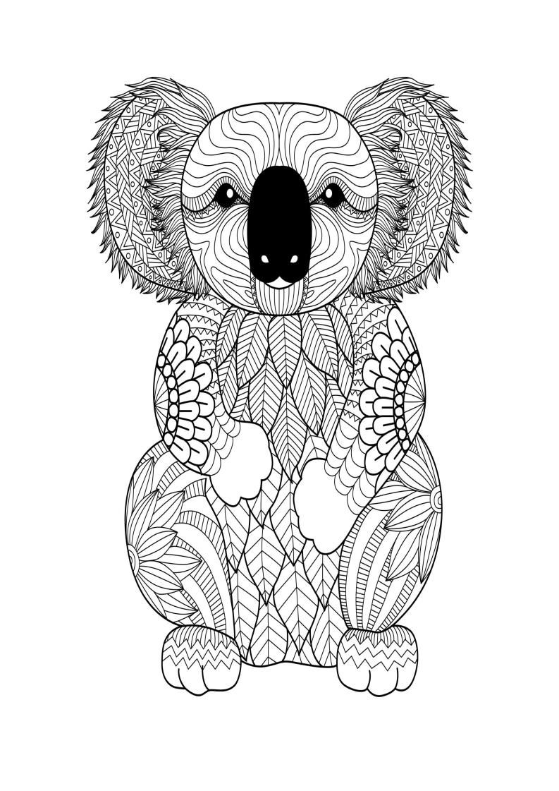 98 Delightful Koala Coloring Pages Printable 73