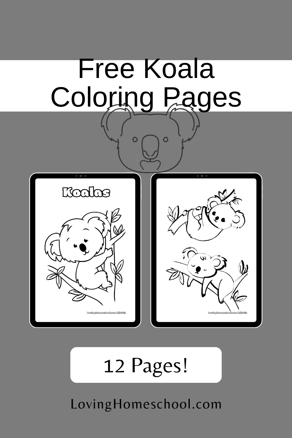 98 Delightful Koala Coloring Pages Printable 74