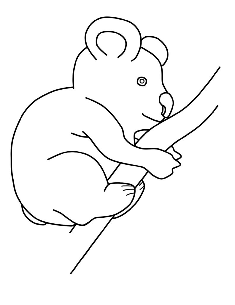 98 Delightful Koala Coloring Pages Printable 77