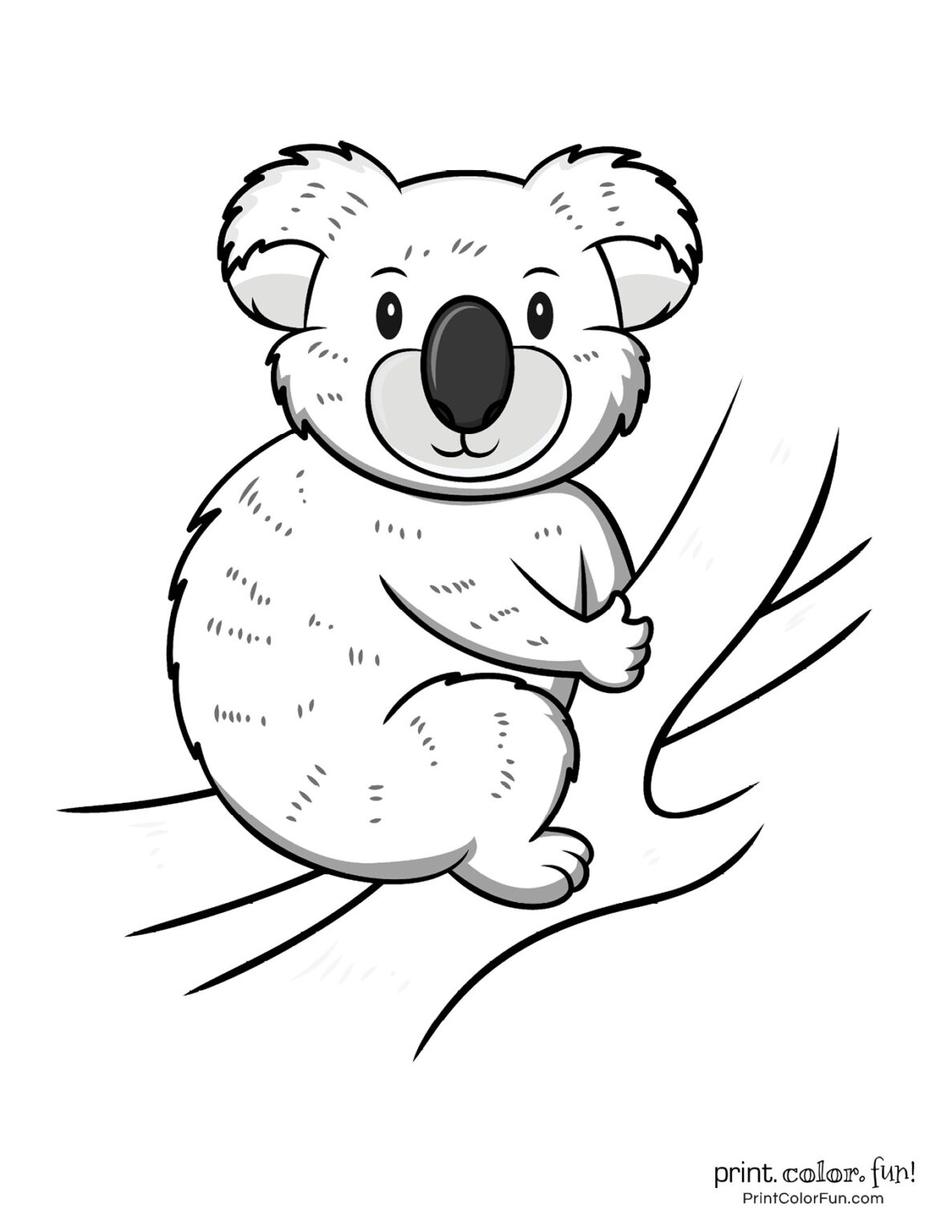 98 Delightful Koala Coloring Pages Printable 79