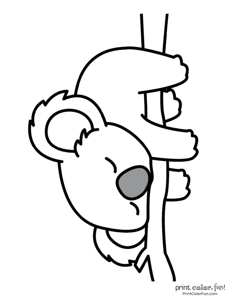 98 Delightful Koala Coloring Pages Printable 80