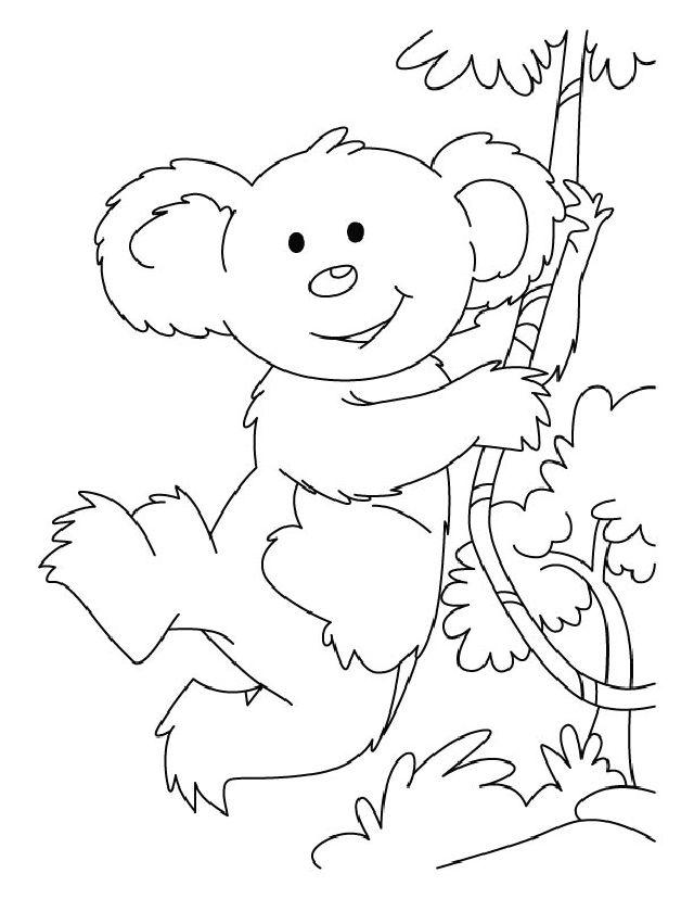 98 Delightful Koala Coloring Pages Printable 84