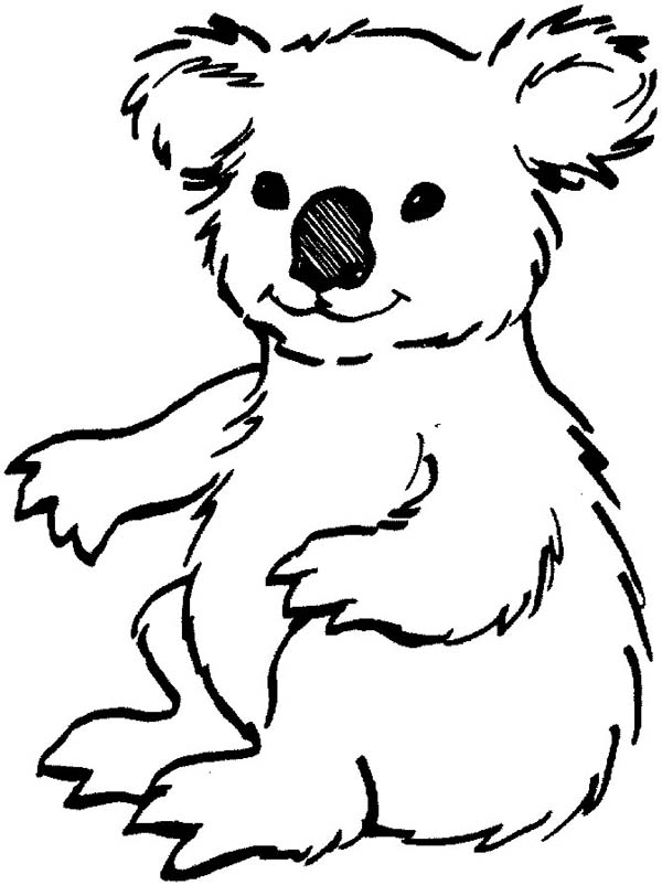 98 Delightful Koala Coloring Pages Printable 87