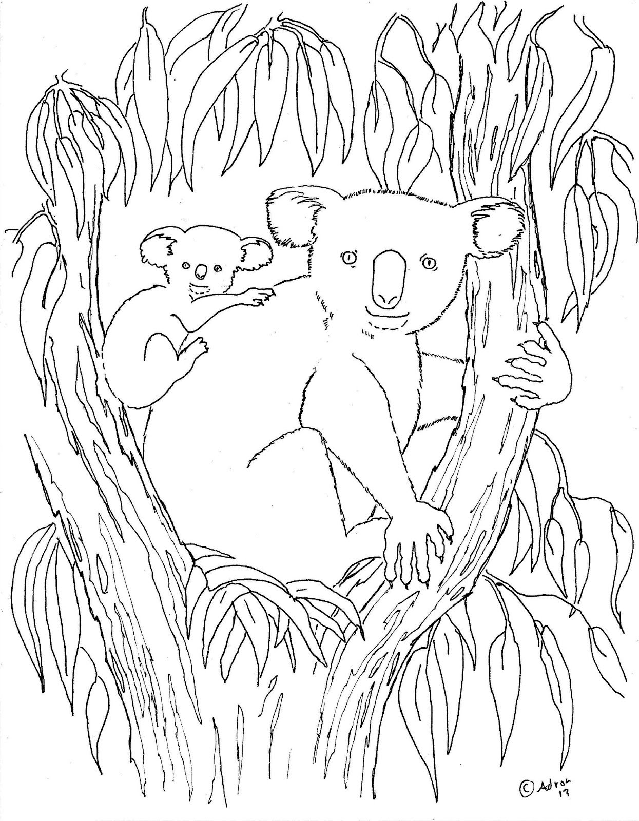 98 Delightful Koala Coloring Pages Printable 90