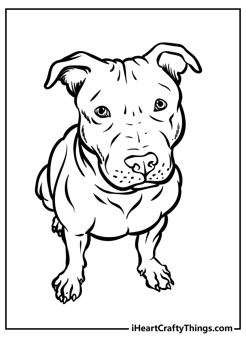 Awesome Pitbull Coloring Pages Printable 1