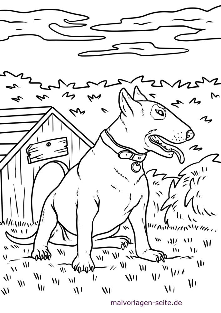 Awesome Pitbull Coloring Pages Printable 11