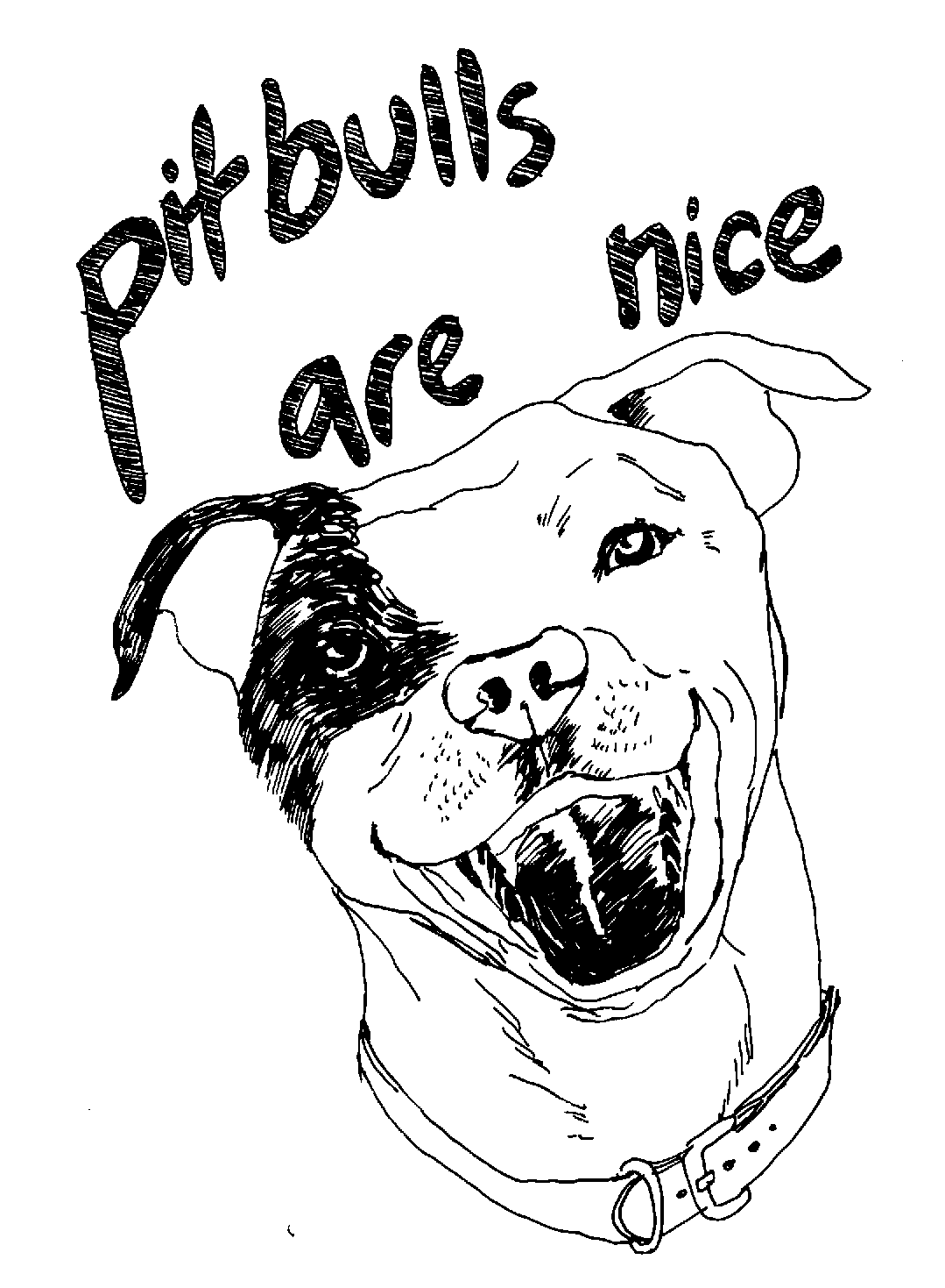 Awesome Pitbull Coloring Pages Printable 17