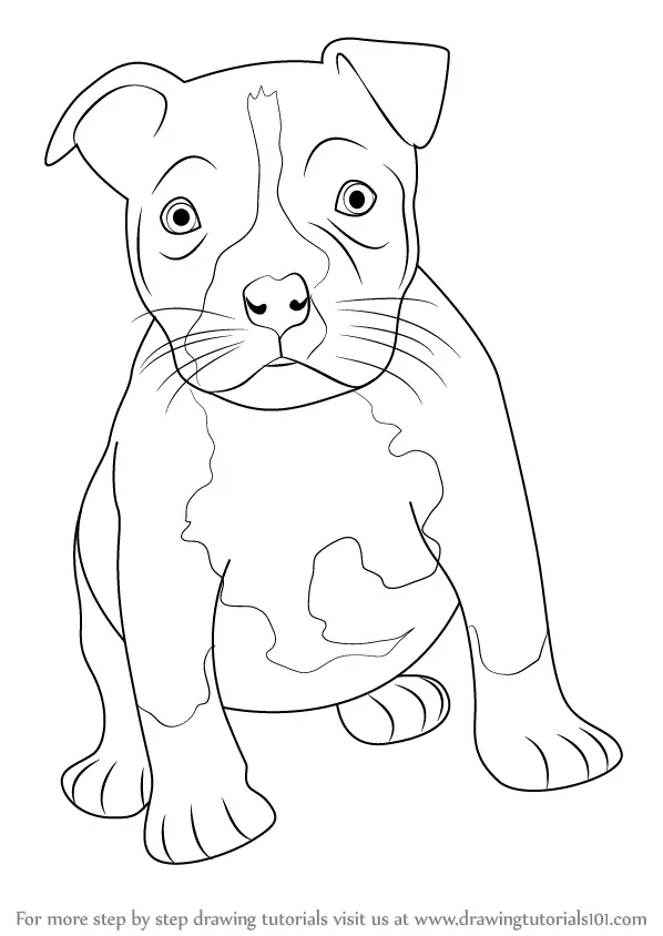 Awesome Pitbull Coloring Pages Printable 18