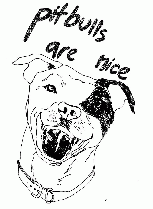 Awesome Pitbull Coloring Pages Printable 19