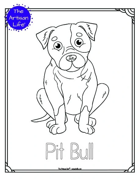 Awesome Pitbull Coloring Pages Printable 20