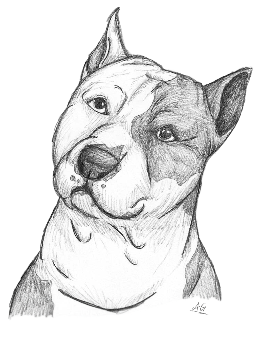 Awesome Pitbull Coloring Pages Printable 24