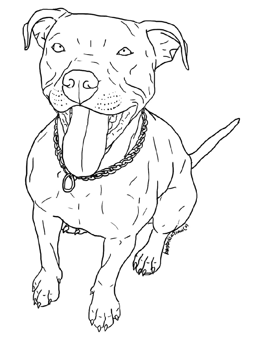 Awesome Pitbull Coloring Pages Printable 25