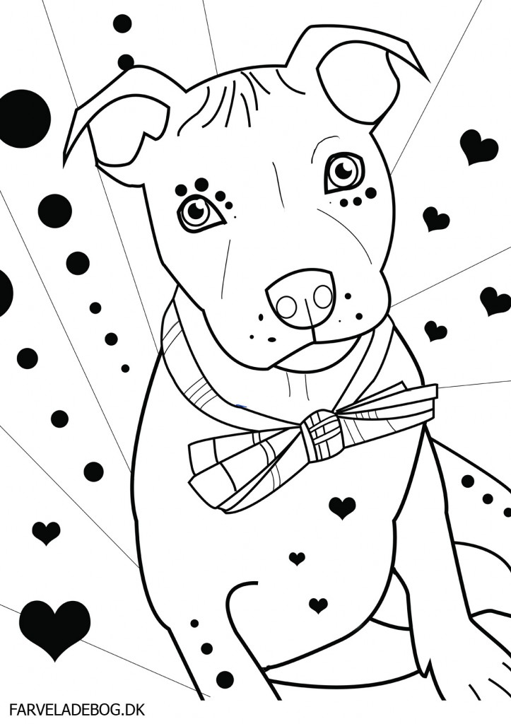 Awesome Pitbull Coloring Pages Printable 29