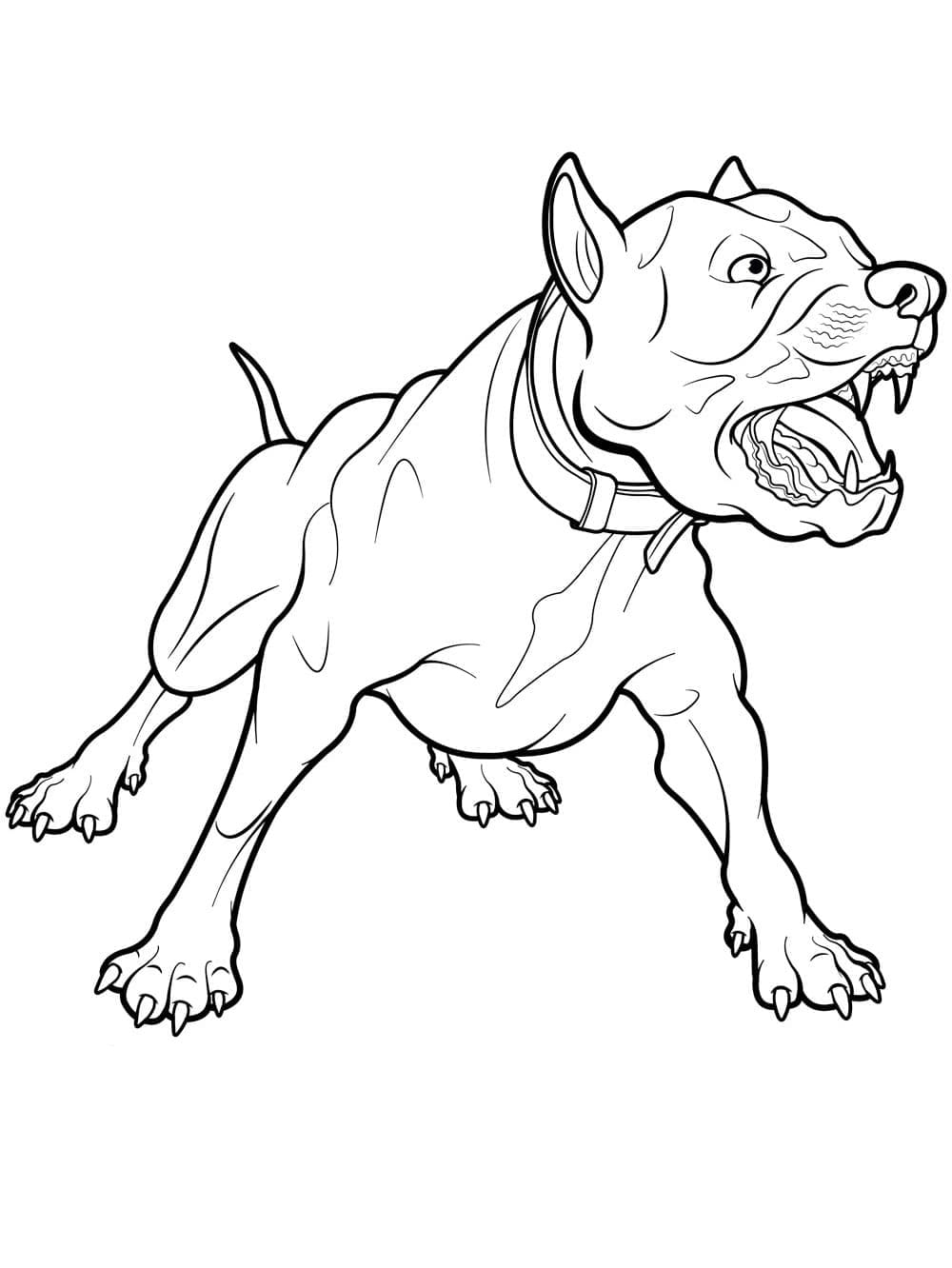 Awesome Pitbull Coloring Pages Printable 32