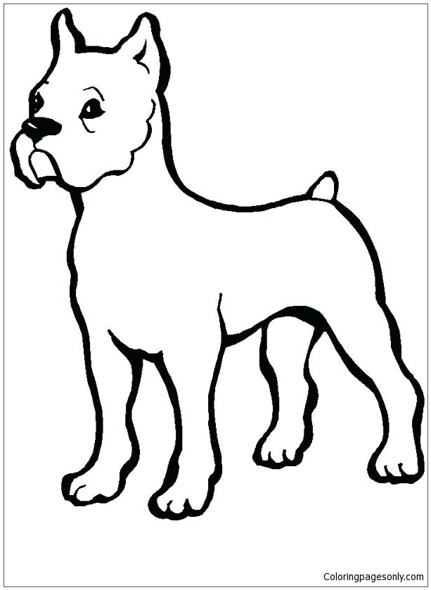 Awesome Pitbull Coloring Pages Printable 33