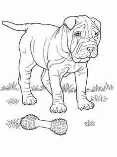 Awesome Pitbull Coloring Pages Printable 34