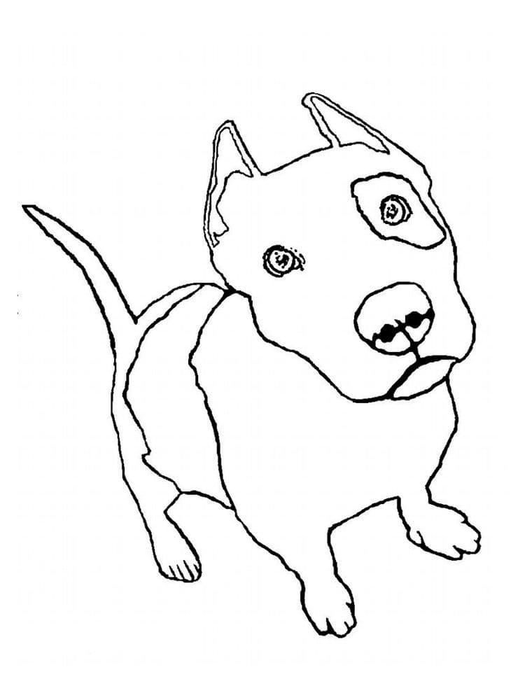 Awesome Pitbull Coloring Pages Printable 4