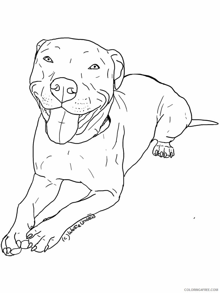 Awesome Pitbull Coloring Pages Printable 7