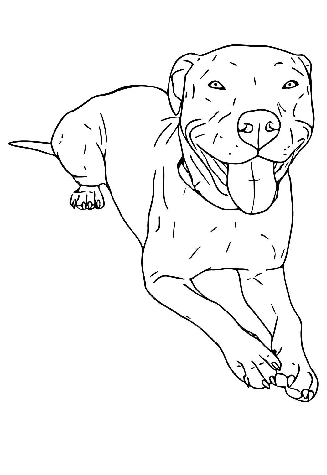 Awesome Pitbull Coloring Pages Printable 8