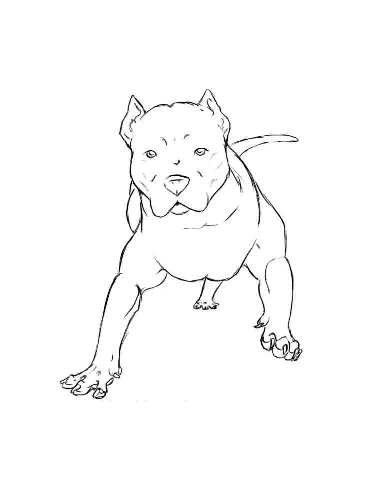 Awesome Pitbull Coloring Pages Printable 9